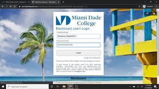 How to log in to MDC Blackboard