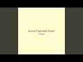 Aurora Fragments Dream