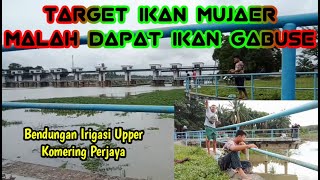 🔴MANCING IKAN DI BENDUNGAN IRIGASI KOMERING PERJAYA || MARTAPURA OKU TIMUR !! @GOLTOD WELLSON