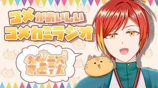 【お絵かき】お昼から雑談！そして作業配信！【配信】 #Vtuber #イラスト