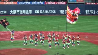 華鹿　2013年6月15日　よさこい祭り大阪（京セラドーム）