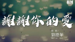 刘德华 - 谢谢你的爱『是不敢不想不应该』【動態歌詞Lyrics】