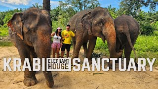 Bathing with Giants! 🐘 Amazing Elephant Experience in Krabi, Thailand