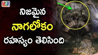 నిజమైన నాగ లోకం ఎక్కడ ఉందో తెలిసింది | Real Ancient Naag Lok Way Found In Uttarakhand | MSR TV