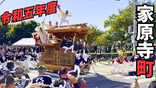 だんじり祭 八田荘地区 家原寺 やりまわし 令和五年度 新道パレード 大池パレード