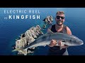 Electric Reel vs Kingfish - Durville Island