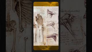 Unveiling the Secrets of Leonardo da Vinci’s Notebooks #part6