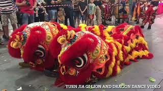 新加坡雲威藝術文化團 Singapore Yun Wei Arts \u0026 Cultural Troupe Lion Dance Cai Qing Performance on the 3/2/23