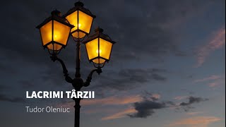 Lacrimi târzii - Tudor Oleniuc, Sabina Cheia // official audio