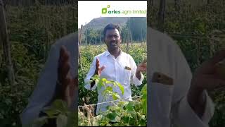 UNIMAX IN TOMATO CROP NEW BRAND ARIES AGRO LIMITED