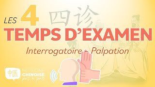 #31 - SI ZHEN – 4 Temps d’examen / INTERROGATOIRE - PALPATION - Médecine Traditionnelle Chinoise