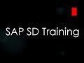 SAP SD Training - Business Partners (Video 26) | SAP SD