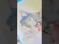 【水彩画】綺麗な目のハチワレ猫 art cat 猫 watercolor