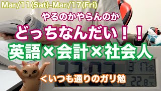 【公認会計士】来週から監査論始めます。【USCPA】