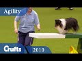 Agility - Medium Team Final 2010 | Crufts Dog Show