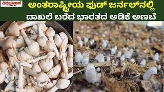 Mushroom Cultivation In Arecanut shell|ಅಂತರಾಷ್ಟ್ರೀಯ ಫುಡ್‌ ಜರ್ನಲ್​​ನಲ್ಲಿ ದಾಖಲೆ ಬರೆದ ಭಾರತದ ಅಡಿಕೆ ಅಣಬೆ