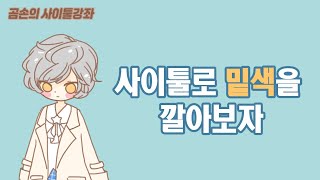 ＃2. 사이툴로 밑색 깔기 _ 곰손의 사이툴 강좌