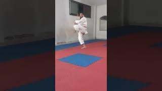 Training Karate kata ohan dai