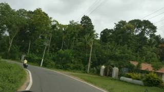 Car drive in Coorg from Pollibetta to Gonikoppa.