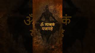 Most Powerful Mantra of Lord Shiva ✨ | Rudralife #mantras #puja #mahamrutyunjaymantra