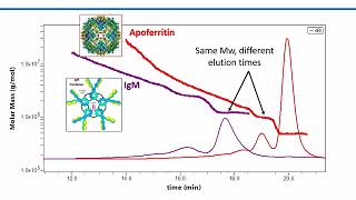 Absolute Characterization of Glycoproteins and their Interactions with Proteins and Antibodies