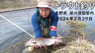 トラウト釣り・大物ニジマスヒット【長野県犀川漁協管内・2024.2.29】