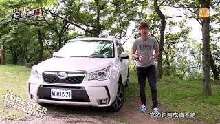 Subaru Forester 名副其實森林人 試駕