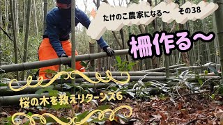 【桜の木を救えリターンズ6】柵を作る～！枝下の竹の活用法笑　たけのこ農家になる38