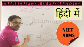 Transcription in prokaryotes (in hindi)