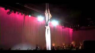 Jamie Holmes Aerial Silks Wedding Performance