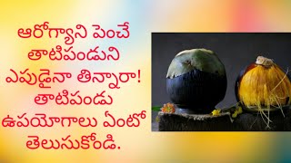 ఆరోగ్యానిపెంచే తాటిపండుని తిన్నారా!తాటిపండు ఉపయోగాలు ఏంటో తెలుసుకొండి.