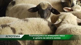 Агротема: Реализацията на агнешкото месо и цената на овчето мляко, автор: Десислав Григоров