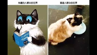 盘点那些倒霉的猫狗，真的狗脸都让你丢尽了！#倒霉的狗子 #傻猫的日常 #搞笑视频