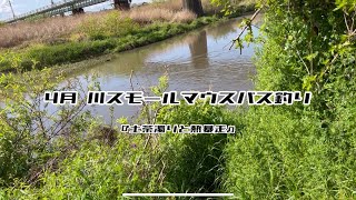 【バス釣り】4月川スモールマウスバス釣り『土茶濁りと熱暴走』【スモールマウスバス】