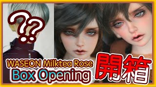 【娃社介紹 /BJD開箱/BJD unboxing】SWITCH [WASEON] Milktea Rose [中字/ENG SUB]