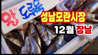 성남모란시장 장날 12월 제철 수산물     한박스 한바구니 이가격 실화? 가격에 놀라고 싱싱함에 기겁 잠생이부인