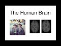 Extraordinary Variations of the Human Mind: Dan Geschwind: Our Brains: Life on a Continuum Extraordinary Variations of the Human Mind: Dan Geschwind: Our Brains: Life on a Continuum