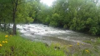 Waipauo river (Masterton, New Zealand)