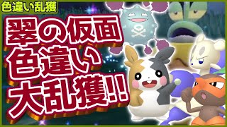 色違いのモルペコ・ドガース・コノハナ・コジョフーなどなど大乱獲雑談！！！【ポケモンSV DLC 碧の仮面】