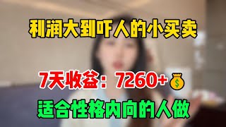 【副业赚钱】2025利润大到吓人的小买卖，宅家做复制粘贴，7天收益：7260+，适合性格内向的人做#tiktok #tiktok赚钱 #副业 #兼职 #tiktok干货