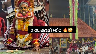 കോഴിമുട്ട തിന്നുന്ന നാഗകാളി തിറ 🐍| Nagakali Thira vellatt 🔥#thirayattam