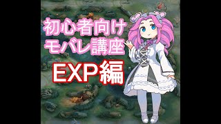 【モバレ】四国めたんのモバレ初心者向けEXP解説動画【モバイルレジェンド】【EXP】