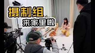 【小短腿Duby】摄制组来家录节目，狗子不断NG还当众耍大牌