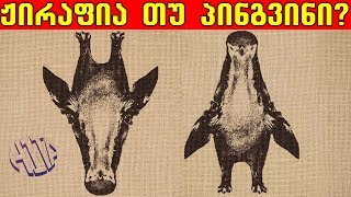 H1Ta - ოპტიკური ილუზიების ხელოვნება #5