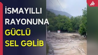 İsmayıllı rayonunda dəhşətli sel təsərrüfatlara ciddi ziyan vurub – APA TV