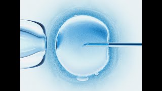 Pressure for IVF success obscures ethical issues