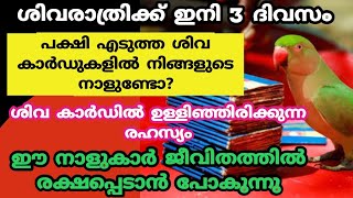 പക്ഷി എടുത്ത ശിവ കാർഡുകളിൽ നിങ്ങളുടെ നാളുണ്ടോ?. Shivaratri vritham 2024. ശിവരാത്രി 2024. jyothisham