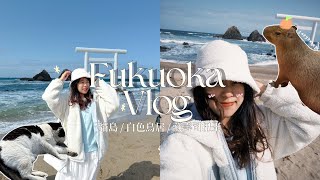 Japan vlog｜福岡貓島 / 白色鳥居之相島（附上簡單交通教學）/水豚! / 藏壽司扭蛋初體驗