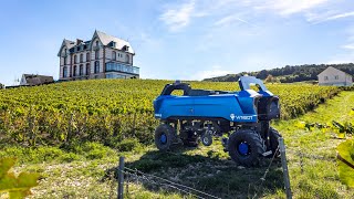 Bakus:A Farm Weeding Robot From Vitibot Robotics #robotics #ameca #bostondynamics #optimus