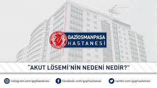 Akut Lösemi'nin Nedeni Nedir?